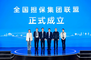 青岛融资担保集团深度参与境内外资本赋能青岛实体经济高质量发展大会暨国际债券市场会议